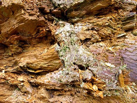 Lichens On A Scarp Photos Diagrams And Topos Summitpost