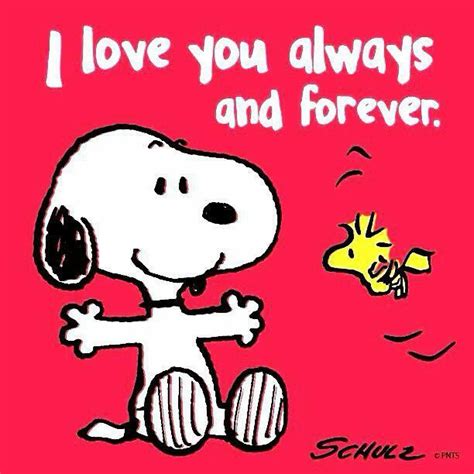 Pin By Janieday1969 On Snoopypeanuts Snoopy Quotes Snoopy Love