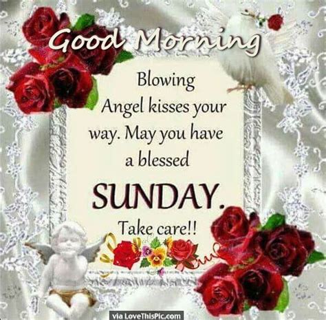 Good Morning Sunday Sending You Angel Kisses Pictures Photos And
