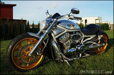 Wow Harley Davidson Vrsca V Rod By Fredy