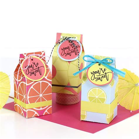 Diy Party Favor Boxes Mad In Crafts