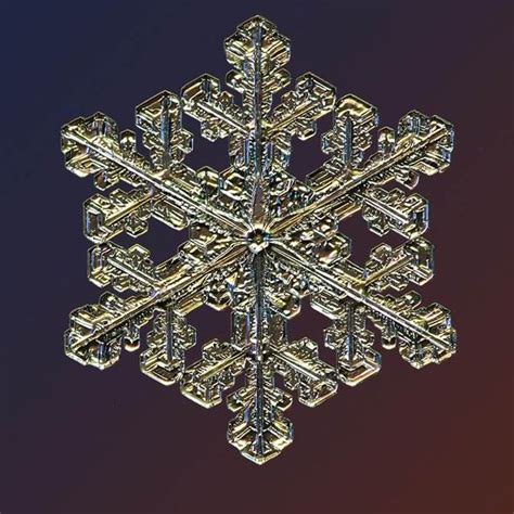 Natures Wondrous Beauty Amazing Photos Of Snowflakes Under The