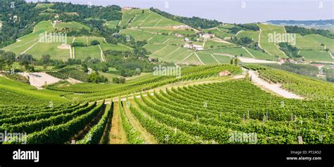 Barolo Wine Region Vineyards Landscape Langhe Piedmont Italy Stock