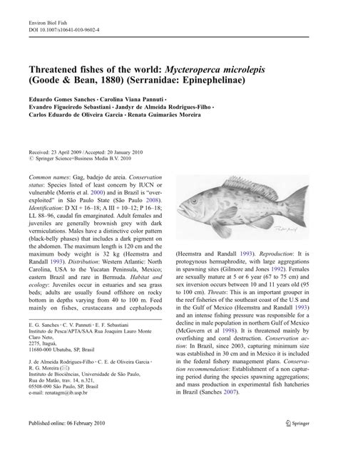 PDF Threatened Fishes Of Mycteroperca Microlepis B