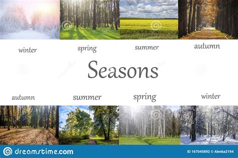 Collage Seasons All Season Seasons In One Photo Winter Spring