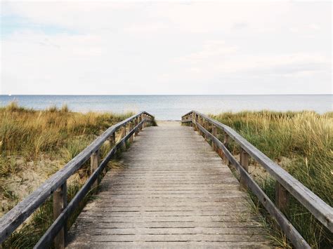 Free Images Beach Sea Coast Water Grass Sand Horizon Marsh