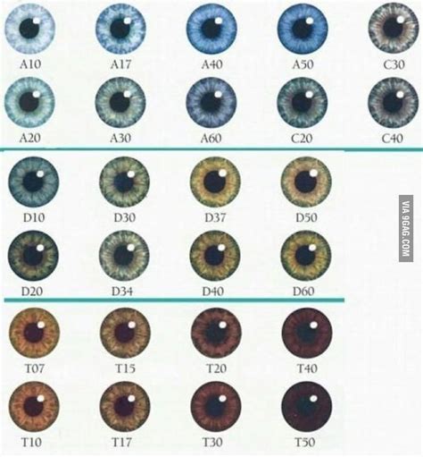Whats Your Eye Color Mines D 37 9gag Natural Eyes Natural Make Up