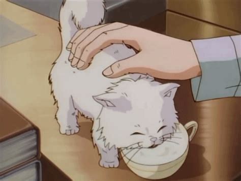 Anime Kawaii Cute Anime Cat Anim  Animated  Manga Anime