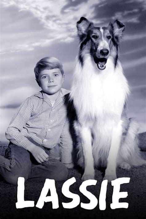 Lassie Tv Series 1954 1973 — The Movie Database Tmdb
