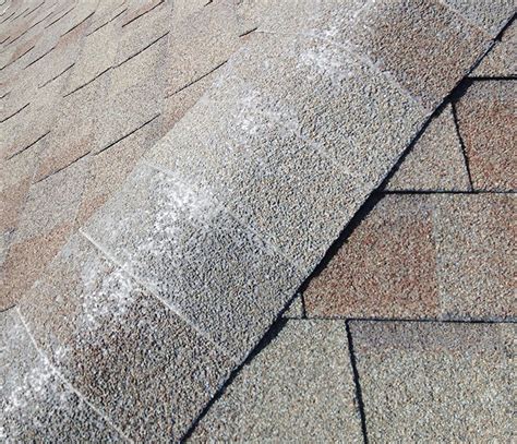 Why You Should Care About Roof Shingle Loss Orbit Roofing