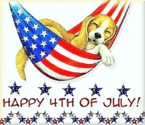 Pin By Kathy Theimer On Holiday Cards 4th Of July Images Funny 4th