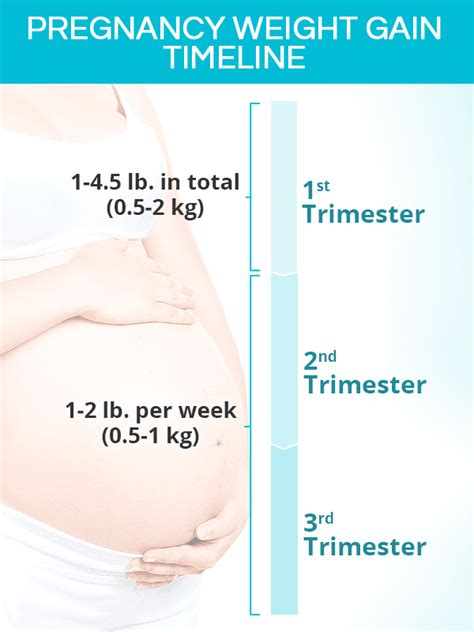 Fetal Weight Gain Per Week In Rd Trimester Tutorial Pics