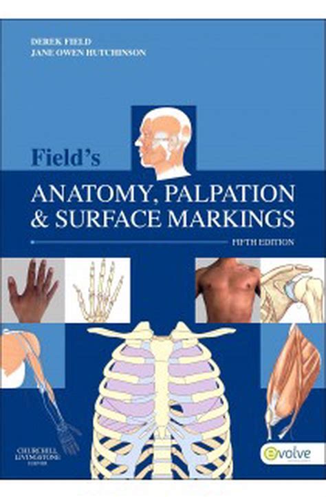 Fields Anatomy Palpation And Surface Markings 5th Edition By Derek