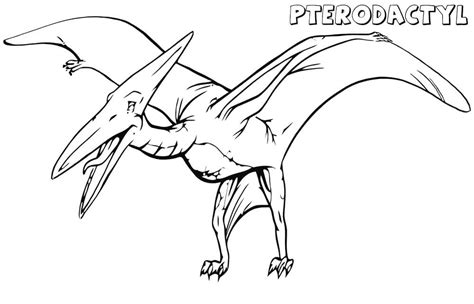 pterodactyl dinosaur 3 coloring page free printable coloring page porn sex picture