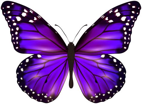 Clipart Butterfly Png / Library of free image royalty free purple and png image