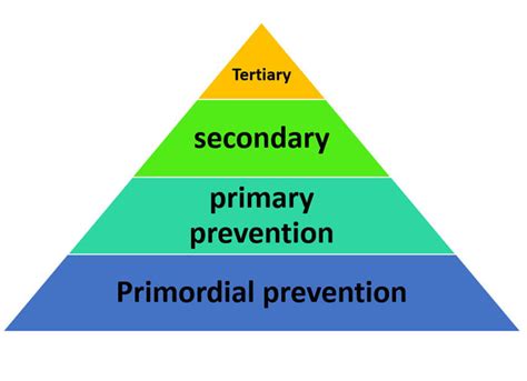 Levels Of Prevention Focus Dentistry
