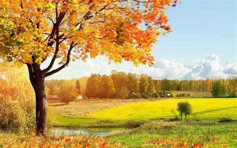 Autumn Landscape Wallpaper ·① Wallpapertag