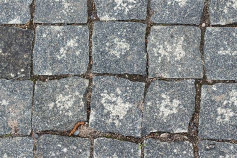 270 Faux Cobblestone Flooring Stock Photos Pictures And Royalty Free