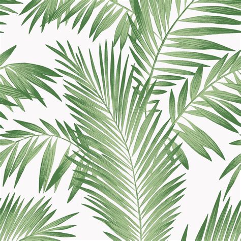 Green aesthetic background do you love diy collage dividers however don't have a clue how to locate your own style to make a photograph divider? Tropical Palm Green Wallpaper - Palm Leaves Aesthetic ...