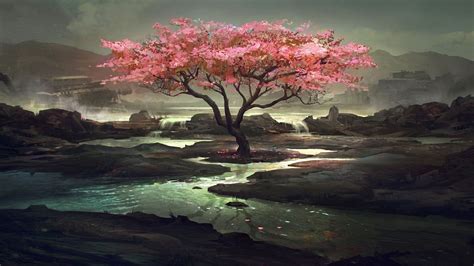 Cherry Blossom Art Wallpapers Top Free Cherry Blossom Art Backgrounds Wallpaperaccess