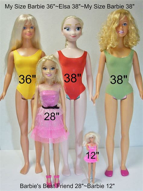 how tall is a normal barbie doll doll see