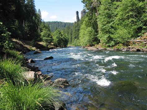 Cultivating Meaningful Partnerships On The Umpqua National Forest