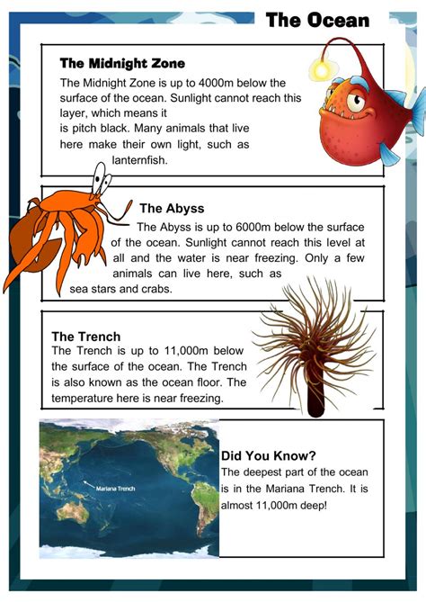 ocean reading comprehension worksheet