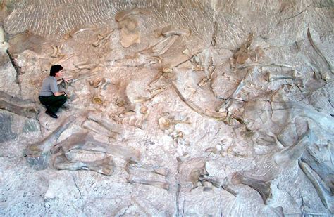 Earl Douglass And Dinosaur National Monument Wild About Utah