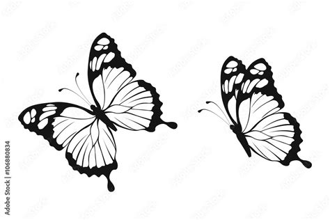 Butterfly Silhouette Stock Vector Adobe Stock