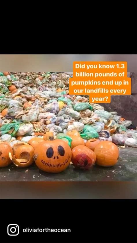 What To Do With Your Pumpkins After Halloween Video Pumpkin
