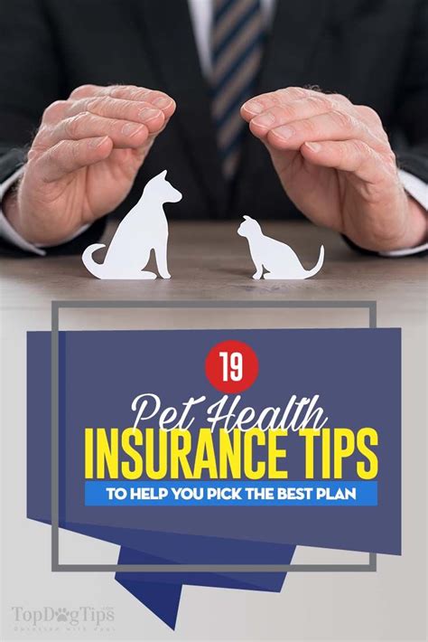 A pet health insurance is, as you may have already guessed it, almost the same as the kind of health insurance that we have. Infographic: 19 Tips to Help You Pick the Best Pet ...