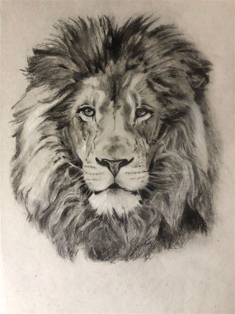 Drawing A Lion Realistic Art With Charcoal Realistic Animal Drawings