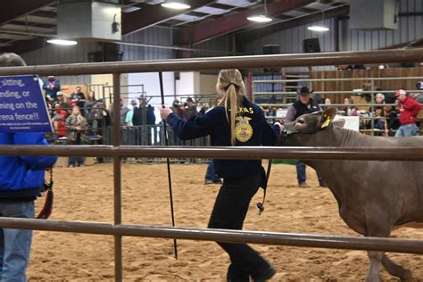 Ths Students Bring Home Top Awards At Ffa Show The Cougar Claw