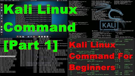 Master Kali Linux Commands Important Linux Commands For Beginners