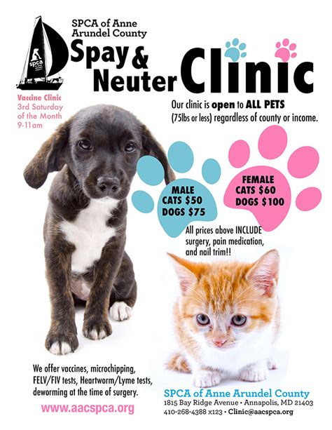 spay neuter clinic spca of anne arundel county
