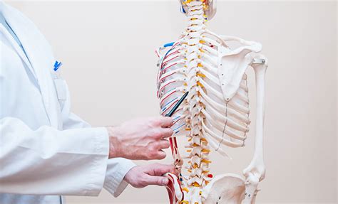 Spinal Implants For Severe Paralysis A Breakthrough Technology Mya Care