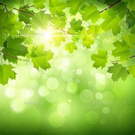 Natural Green Background By Baks Graphicriver