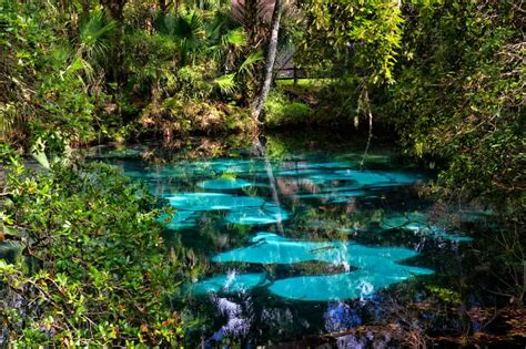 12 Natural Springs Near Orlando That You Must Visit Florida Trippers