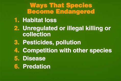 Top 143 Reasons Why Animals Are Endangered