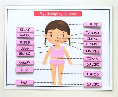 Body Parts Worksheet English And Tagalog Learning Material Teaching