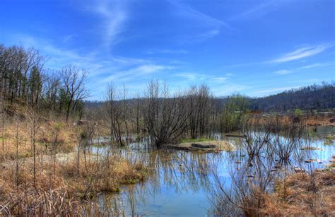 Looking At A Pond At Johnsons Shut Ins State Park Image Free Stock