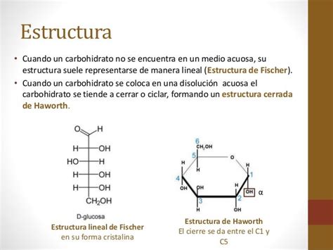 Estructura Quimica Lineal De Los Carbohidratos 2020 Idea E Inspiración