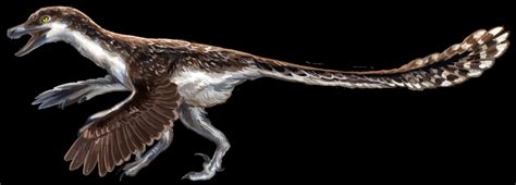 9 Facts About The Jurassic Park Velociraptors Paultons Park