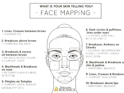 Traditional Chinese Medicine Face Mapping
