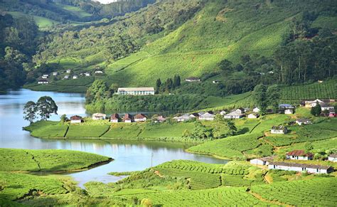 40 Places To Visit In Munnar Tourist Places And Top Attractions