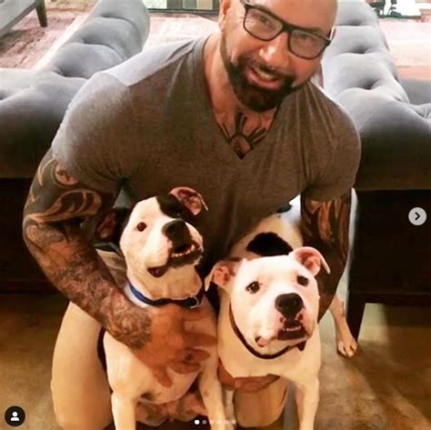 Famous Actor Dave Bautista Adopts Mistreated Chained Up Puppy Offers