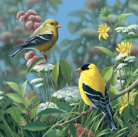 Pin By Laurie Courtois On Animals Birds Birds Painting Realistic