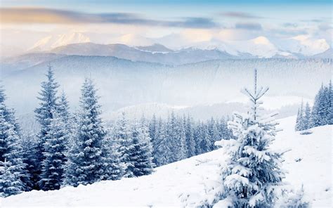 Download Winter Scenes Scenery Wallpaper Hd By Trevorg2