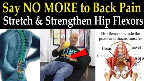 Say No More To Back Pain Best Stretches And Strengthening Hip Flexor