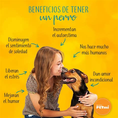 Beneficios De Tener Una Perro 🐕 Perro Spaniel Amo Los Perros Perros
